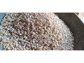 grains-legumes-rice-corn-millet-wheat-small-0